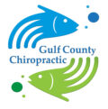 Gulf County Chiropractic